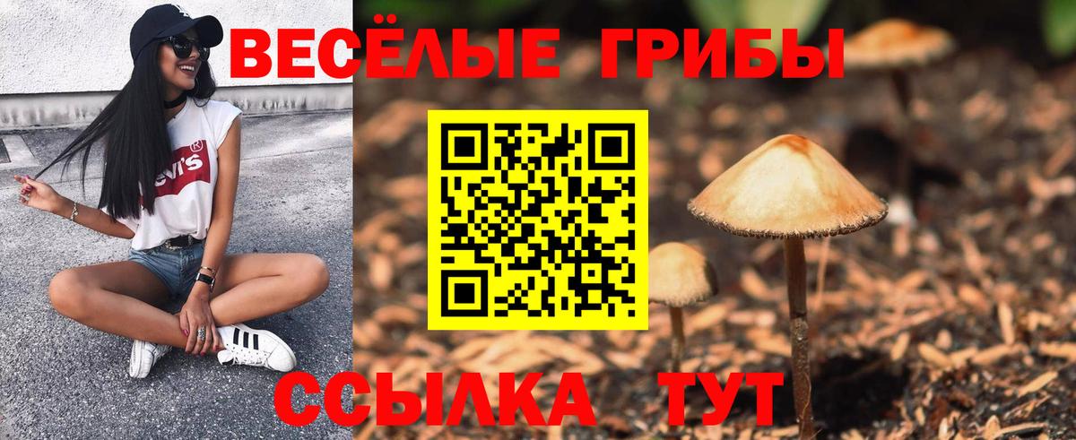 Псилоцибиновые грибы Psilocybine cubensis Мичуринск